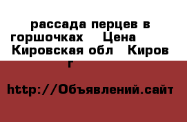 рассада перцев в горшочках. › Цена ­ 12 - Кировская обл., Киров г.  »    